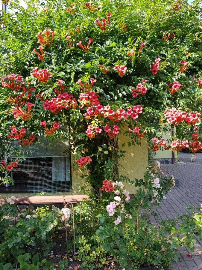 Vila Florena Garden Паланга Екстериор снимка