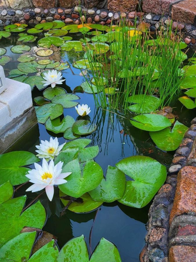 Vila Florena Garden Паланга Екстериор снимка