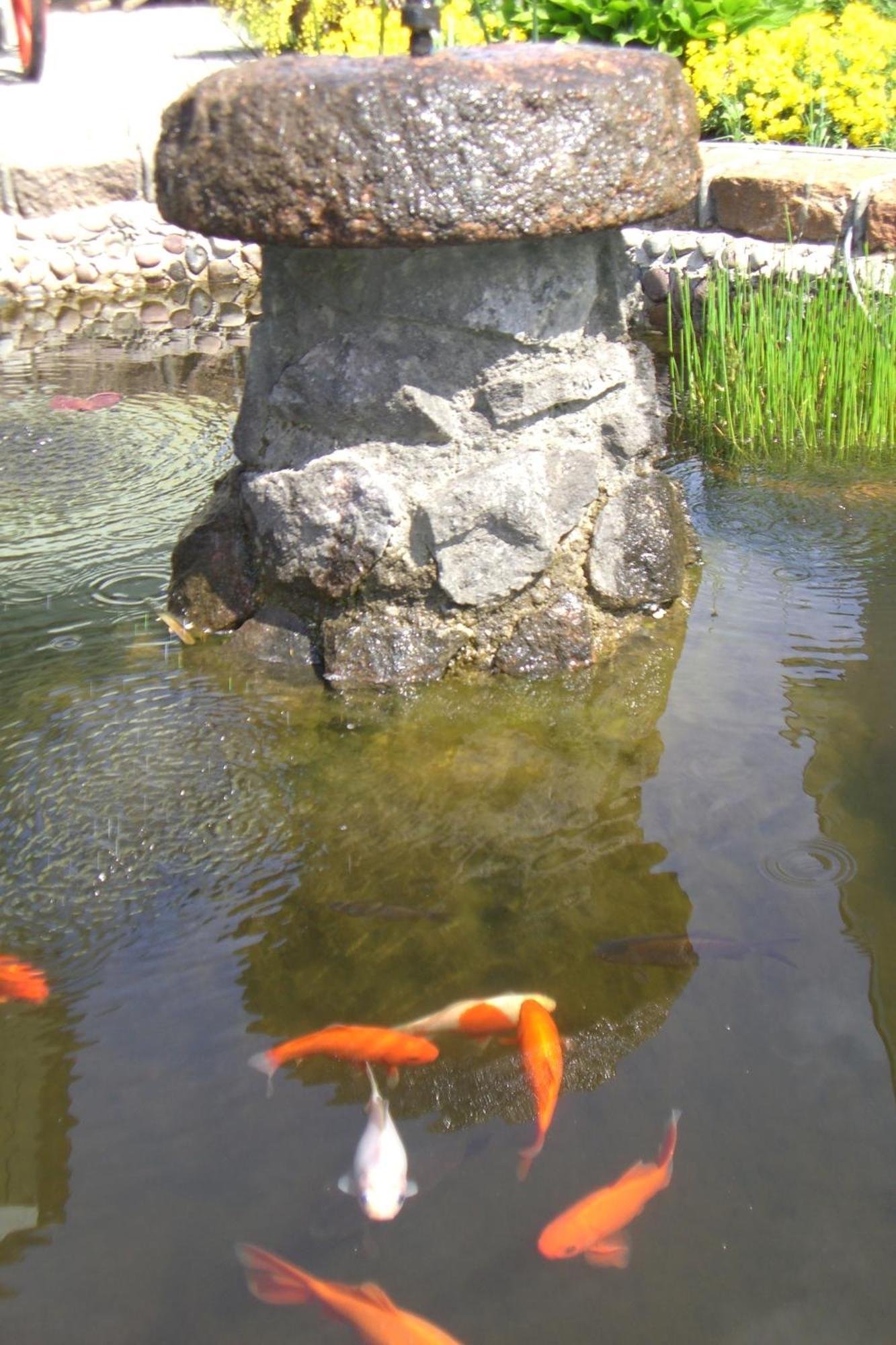 Vila Florena Garden Паланга Екстериор снимка
